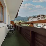 Stangl * 弗拉绍